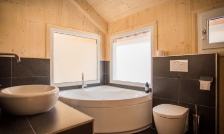 Premium mit 5 SZ,Sauna o IR-Sauna+SP Holiday Home 32 4
