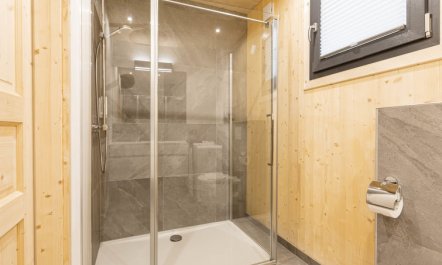 # 3a mit Sauna & Pool Apartment 4 4