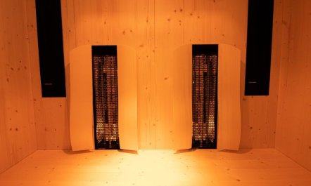 mit 2 Schlafzimmern & IR-Sauna 5