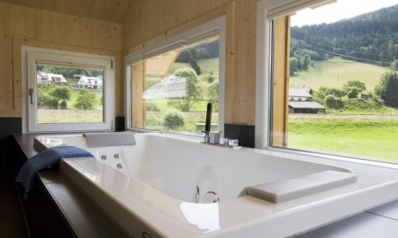 Sonneck mit OutdoorSprudelbad 10P Apartment 8 3