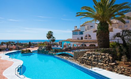 Los Olivos de Capistrano