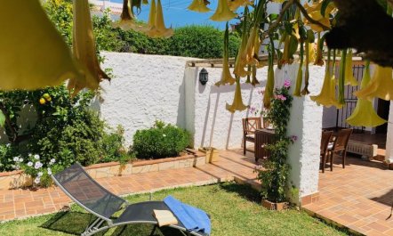 Los Olivos de Capistrano 8