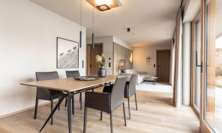 Superior mit IR-Sauna Apartment 4 7