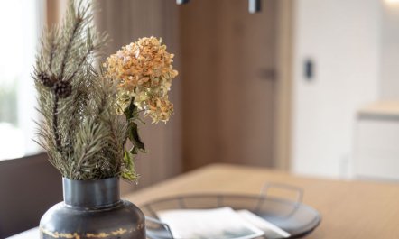 Superior mit 2 Schlafzimmern Apartment 3 7