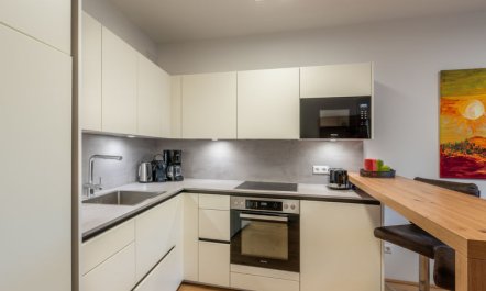 Terrace 04 alpe maritima Ski & See-Top 4 Apartment 14 2