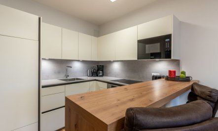 Terrace 04 alpe maritima Ski & See-Top 4 Apartment 14 7