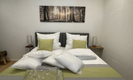 Wildenbach Apartment 3 4