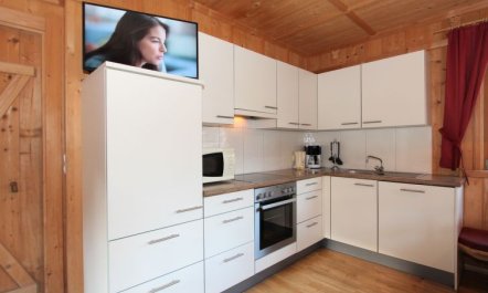 Schwendau Holiday Home 3 5