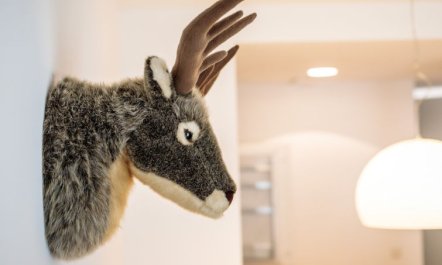 mit 1 Schlafzimmer & Saunabereich Apartment 7 6