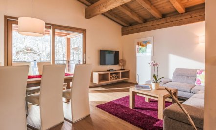 Resort Tirol Wildschönau Apartment 7 5