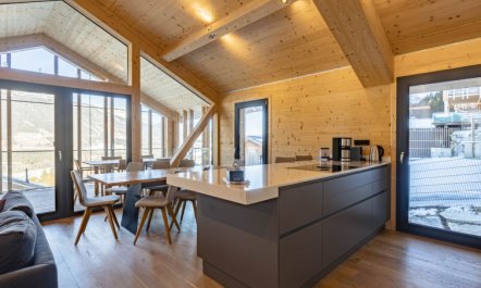 Premium mit 3 SZ,Sauna&Aussenbadewanne Apartment 11