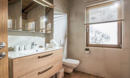 Resort Tirol Wildschönau 2 Apartment 2 2