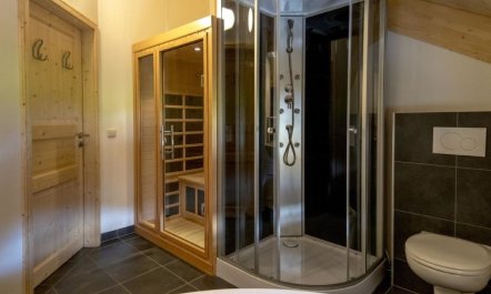 mit 4 SZ,Sauna o.IR-Sauna+Sprudelbad Holiday Home 23 3