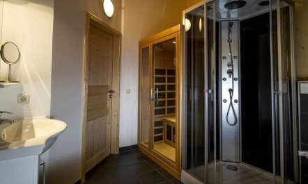 Chalet mit 2 Schlafzimmern & IR-Sauna Holiday Home 10 4