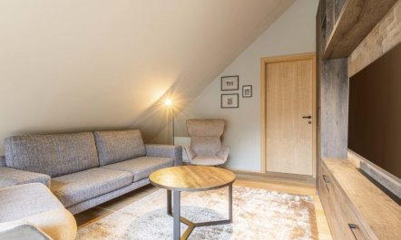 Superior Penthouse mit 3 SZ Apartment 5 6