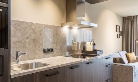 Superior Penthouse mit 2 Schlafzimmern Apartment 3 7