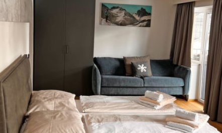 Suite bis zu 4 P. & Wellnessbereich Apartment 9