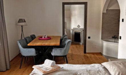 Suite bis zu 4 P. & Wellnessbereich Apartment 9 1