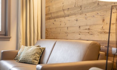 Suite mit 1 SZ & Wellnessbereich Apartment 3 6