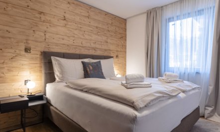 Suite mit 1 SZ & Wellnessbereich Apartment 3 3