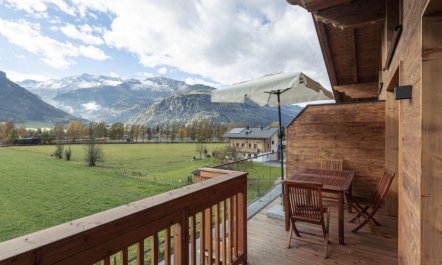 Premium # 1A mit Sauna Holiday Home 4 5