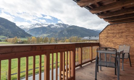 Premium # 1A mit Sauna Holiday Home 4 4