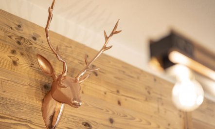 Superior # 1C mit Sauna 5