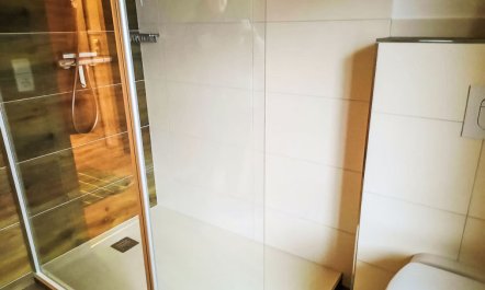 Althaus 1 Apartment 3 5