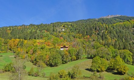 Peppi am Buchhammerhof Apartment 2 4