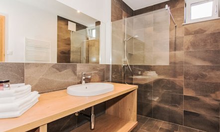 Schmittenhöhe Apartment 2 4