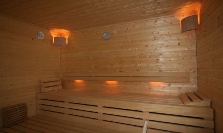 Erzherzog’s Apts/Zillertal Kaiser Lodge Apartment 2 4