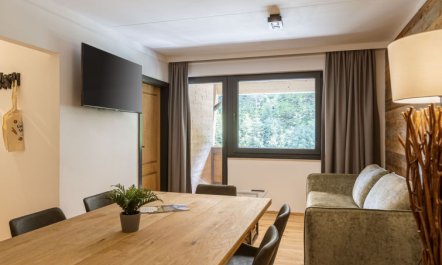 Suite 2 SZ IR-Sauna&Wellnessbereich Apartment 8 5