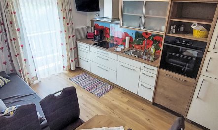 Rupertus Apartment 4 2