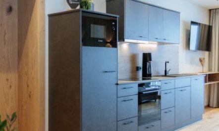 Mountain Suite Nr 201 Apartment 4 7