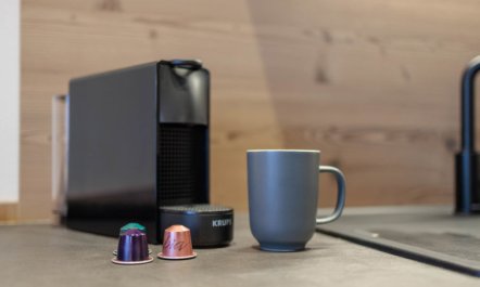 Mountain Suite Nr 101 2