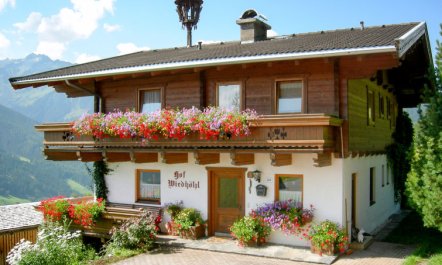 Wiedhölzl Apartment 2 5