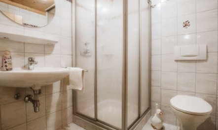 Wiedhölzl Apartment 2 4