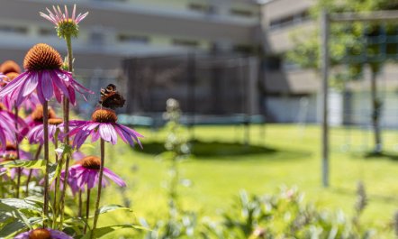 Superior mit 1 Schlafzimmer & Pool Apartment 6