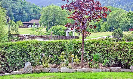 Dahoam Apartment 2 4