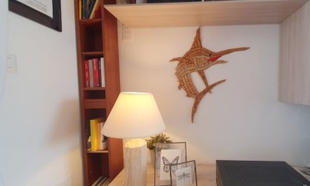 The Sunshine House 7