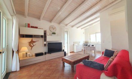 The Sunshine House 3