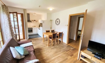 Schönblick Mountain Resort Apartment 3 6