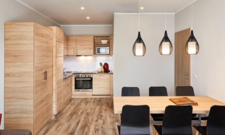 Katschberg Alpenhaus M (SML511) Apartment 2 2