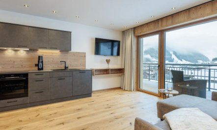 Mountain Suite Nr 301 Apartment 9 2