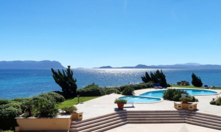 Acacia Apartment 8 3