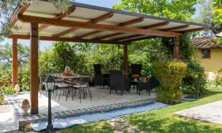 Olive Grove Sabina 5