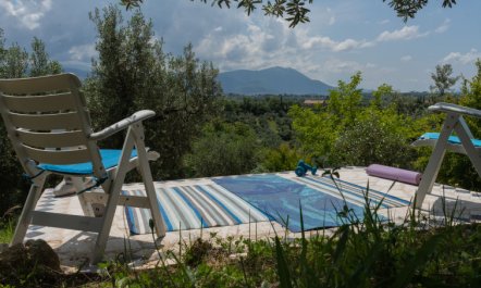 Olive Grove Sabina 4