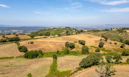 La terrazza sulla Maremma 6
