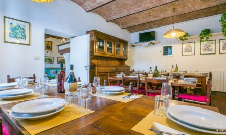 Scaletta + GIrasole 6