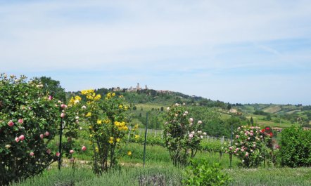 Le Fonti di Santa Lucia 5